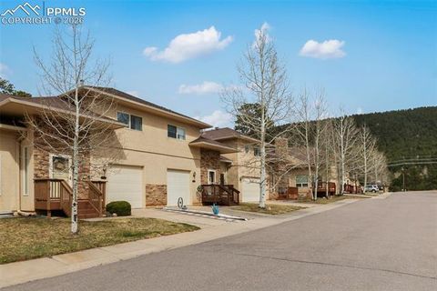 Tiny photo for 742 Westwood Trace, Woodland Park, CO 80863 (MLS # 2187665)