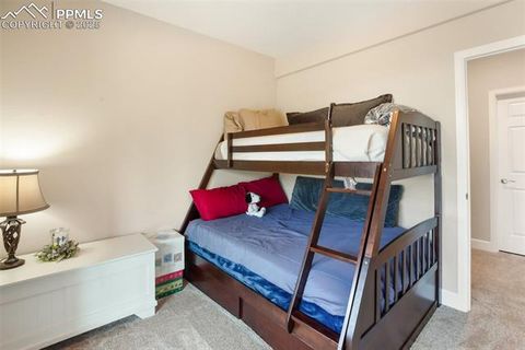Tiny photo for 4101 Spruce Road, Woodland Park, CO 80863 (MLS # 4433754)