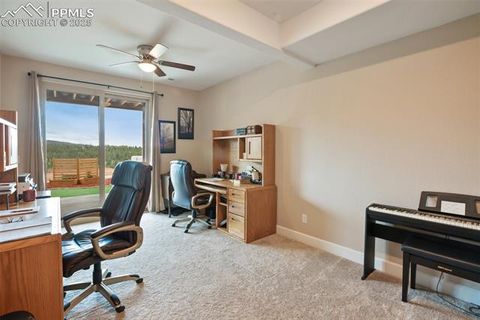 Tiny photo for 4101 Spruce Road, Woodland Park, CO 80863 (MLS # 4433754)