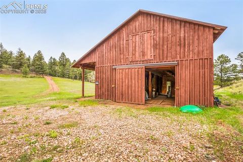 Tiny photo for 4101 Spruce Road, Woodland Park, CO 80863 (MLS # 4433754)