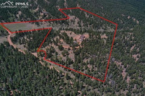 Tiny photo for 4101 Spruce Road, Woodland Park, CO 80863 (MLS # 4433754)