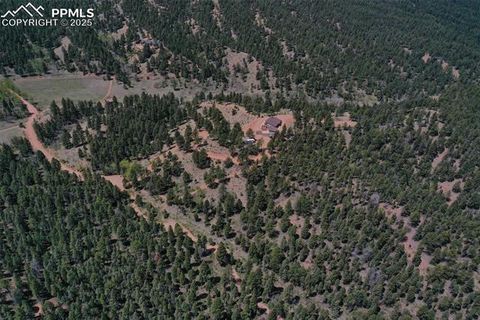 Tiny photo for 4101 Spruce Road, Woodland Park, CO 80863 (MLS # 4433754)
