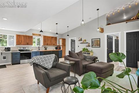 Tiny photo for 4540 Fountain Avenue, Cascade, CO 80809 (MLS # 9042354)