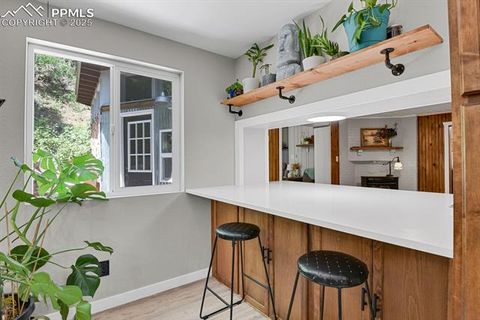 Tiny photo for 4540 Fountain Avenue, Cascade, CO 80809 (MLS # 9042354)
