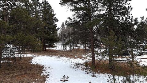 Photo of 210 Rhyolite Lane, Florissant, CO 80816 (MLS # 2300895)