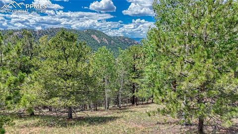 Photo of 24 Wild Horse Circle, Cripple Creek, CO 80813 (MLS # 5856015)