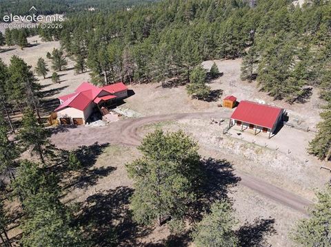 Photo of 37081 County Road 77, Lake George, CO 80827 (MLS # 9318333)