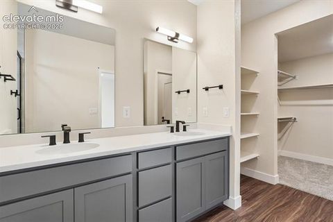 Tiny photo for 3089 Curly Grove, Colorado Springs, CO 80922 (MLS # 1276493)