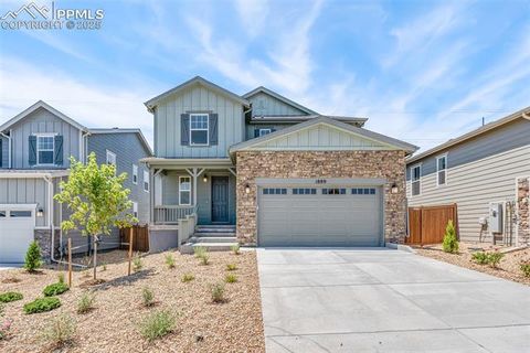 1889 Water Birch Way Castle Rock CO 80108