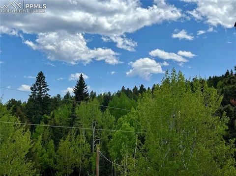 Tiny photo for 50 Dakota Lane, Woodland Park, CO 80863 (MLS # 4636443)