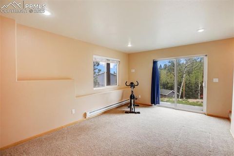 Tiny photo for 50 Dakota Lane, Woodland Park, CO 80863 (MLS # 4636443)