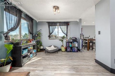 Tiny photo for 11650 Cranston Drive, Peyton, CO 80831 (MLS # 9894467)