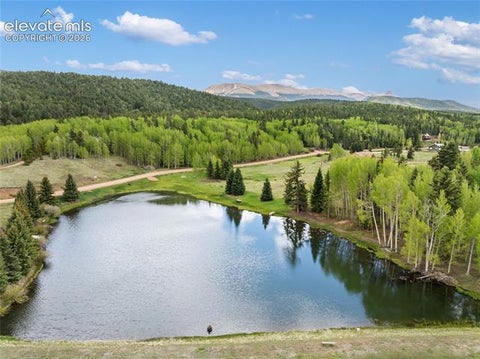Tiny photo for 19 Worley Road, Divide, CO 80814 (MLS # 7602432)