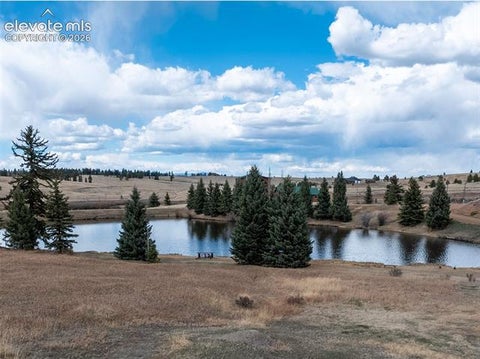 Tiny photo for 19 Worley Road, Divide, CO 80814 (MLS # 7602432)