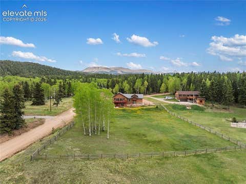 Tiny photo for 19 Worley Road, Divide, CO 80814 (MLS # 7602432)