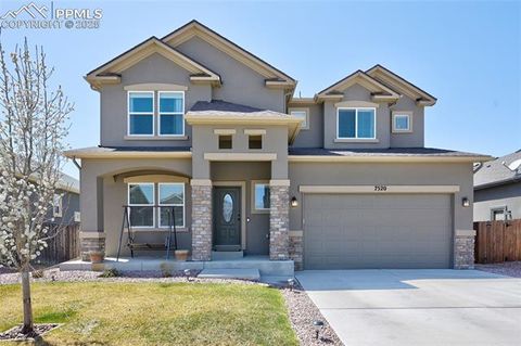 7520 Bigtooth Maple Drive Colorado Springs CO 80925