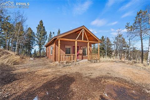 Photo of 345 Klitowya Trail, Woodland Park, CO 80863 (MLS # 1165643)