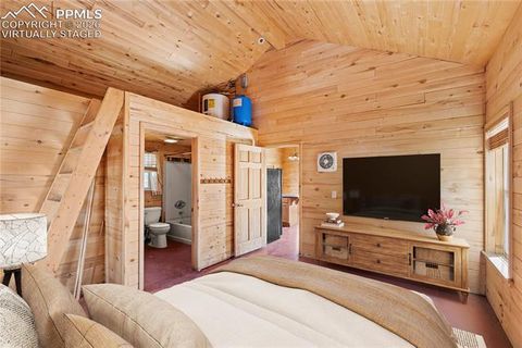 Tiny photo for 345 Klitowya Trail, Woodland Park, CO 80863 (MLS # 1165643)