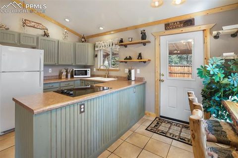 Tiny photo for 31 Handcart Circle, Florissant, CO 80816 (MLS # 7832566)