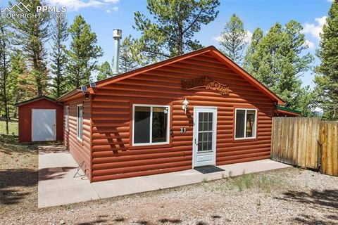 Tiny photo for 31 Handcart Circle, Florissant, CO 80816 (MLS # 7832566)