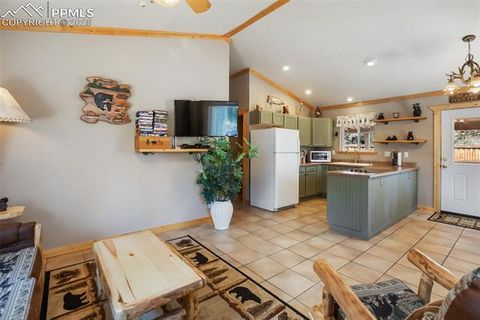 Tiny photo for 31 Handcart Circle, Florissant, CO 80816 (MLS # 7832566)