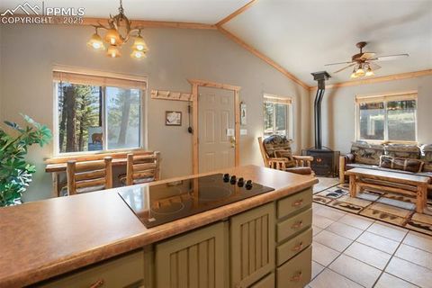 Tiny photo for 31 Handcart Circle, Florissant, CO 80816 (MLS # 7832566)