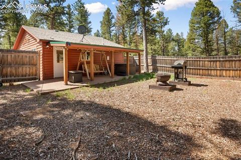 Tiny photo for 31 Handcart Circle, Florissant, CO 80816 (MLS # 7832566)