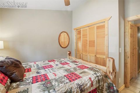Tiny photo for 31 Handcart Circle, Florissant, CO 80816 (MLS # 7832566)