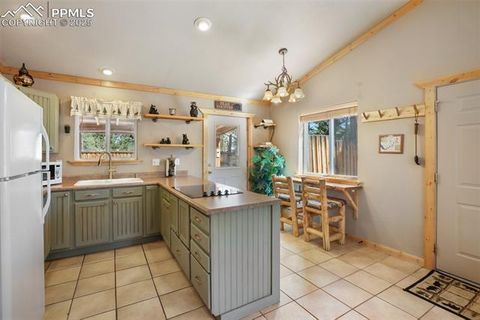 Tiny photo for 31 Handcart Circle, Florissant, CO 80816 (MLS # 7832566)