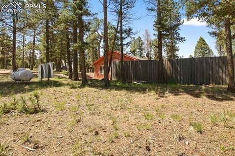 Tiny photo for 31 Handcart Circle, Florissant, CO 80816 (MLS # 7832566)