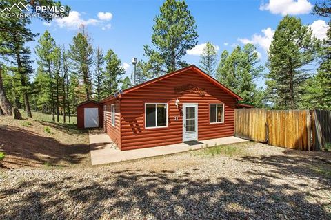 Tiny photo for 31 Handcart Circle, Florissant, CO 80816 (MLS # 7832566)