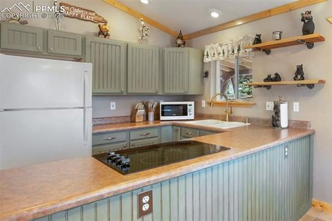 Tiny photo for 31 Handcart Circle, Florissant, CO 80816 (MLS # 7832566)