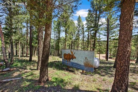 Tiny photo for 31 Handcart Circle, Florissant, CO 80816 (MLS # 7832566)