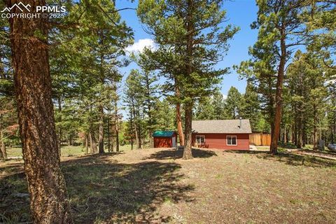 Tiny photo for 31 Handcart Circle, Florissant, CO 80816 (MLS # 7832566)