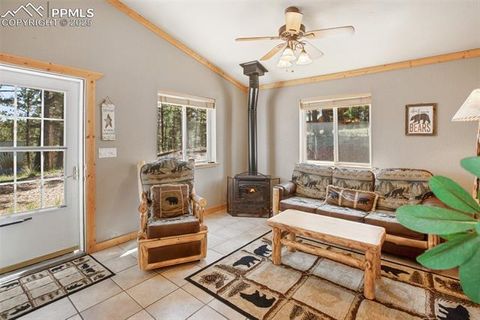 Tiny photo for 31 Handcart Circle, Florissant, CO 80816 (MLS # 7832566)