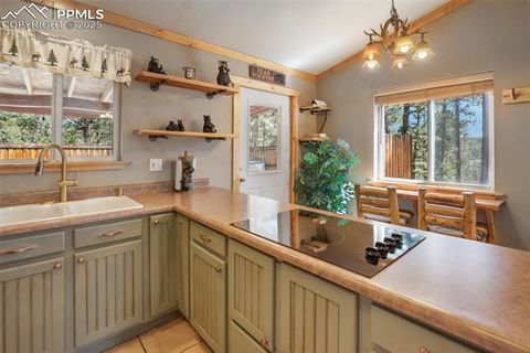 Tiny photo for 31 Handcart Circle, Florissant, CO 80816 (MLS # 7832566)