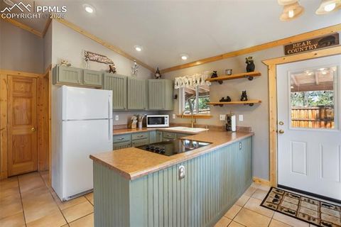Tiny photo for 31 Handcart Circle, Florissant, CO 80816 (MLS # 7832566)