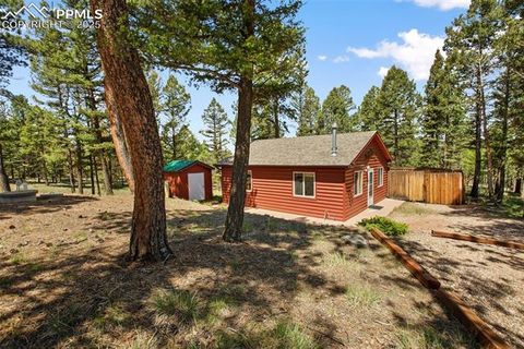 Tiny photo for 31 Handcart Circle, Florissant, CO 80816 (MLS # 7832566)