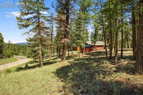 Tiny photo for 31 Handcart Circle, Florissant, CO 80816 (MLS # 7832566)