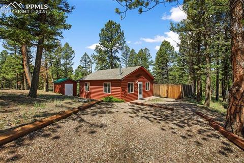 Tiny photo for 31 Handcart Circle, Florissant, CO 80816 (MLS # 7832566)