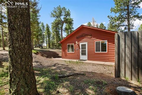 Tiny photo for 31 Handcart Circle, Florissant, CO 80816 (MLS # 7832566)