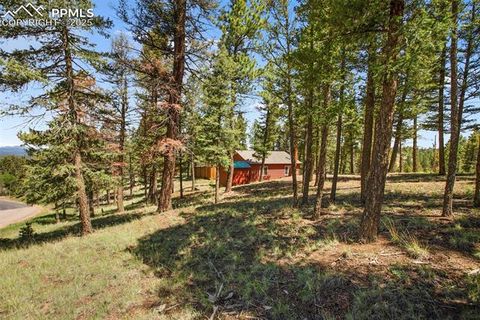 Tiny photo for 31 Handcart Circle, Florissant, CO 80816 (MLS # 7832566)