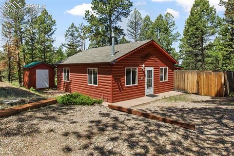 Photo of 31 Handcart Circle, Florissant, CO 80816 (MLS # 7832566)