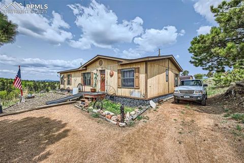 477 Friar Tuck Drive Divide CO 80814