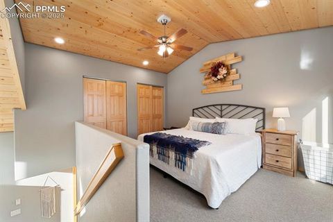 Tiny photo for 263 Wakanda Trail, Woodland Park, CO 80863 (MLS # 9275695)
