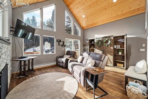 Tiny photo for 263 Wakanda Trail, Woodland Park, CO 80863 (MLS # 9275695)