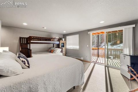Tiny photo for 263 Wakanda Trail, Woodland Park, CO 80863 (MLS # 9275695)