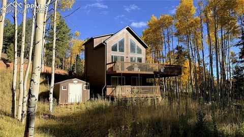 Tiny photo for 263 Wakanda Trail, Woodland Park, CO 80863 (MLS # 9275695)