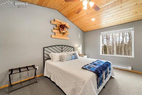 Tiny photo for 263 Wakanda Trail, Woodland Park, CO 80863 (MLS # 9275695)