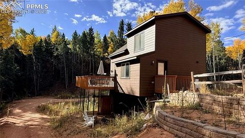 Tiny photo for 263 Wakanda Trail, Woodland Park, CO 80863 (MLS # 9275695)